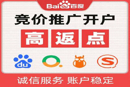 百度联盟推广网络覆盖的案例研究